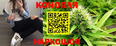 шишки Славянск-на-Кубани